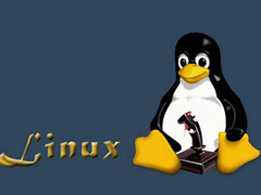 Linux系统halt命令参数如何使用？