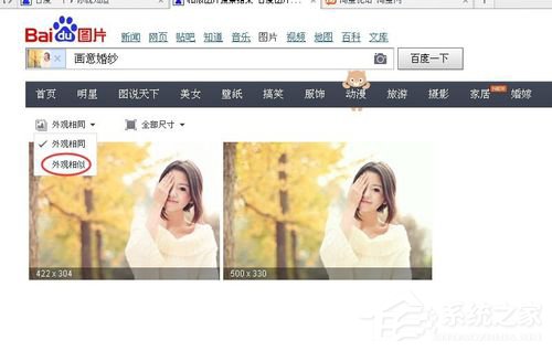 WinXP系统百度识图怎么用？WinXP系统用百度识图查找自己需要的图片