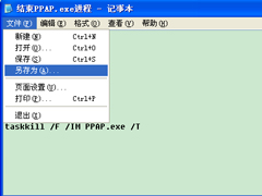 PPAP.exe是什么？XP怎么关闭PPAP.exe？