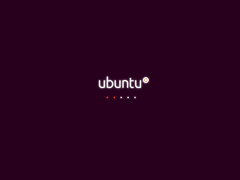 Ubuntu Desktop 15.04 标准版（64位）