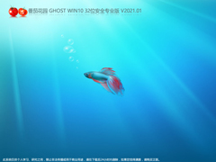 番茄花园 GHOST WIN10 32位安全专业版 V2021.01