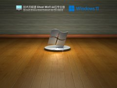 技术员联盟Ghost Win11 64位专业版 V2021.10