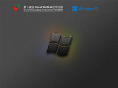 萝卜家园 Ghost Win11 64位 专业版 V2021.11