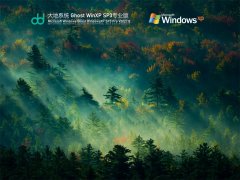 大地系统 Ghost WinXP SP3 纯净优化版 V2021.12