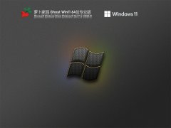 萝卜家园 Ghost Win11 64位 免激活专业版 V2022.01